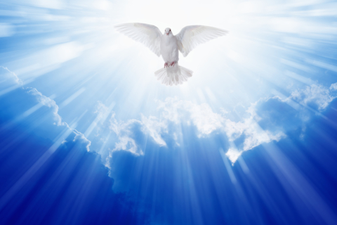 Be Led By the Holy Spirit